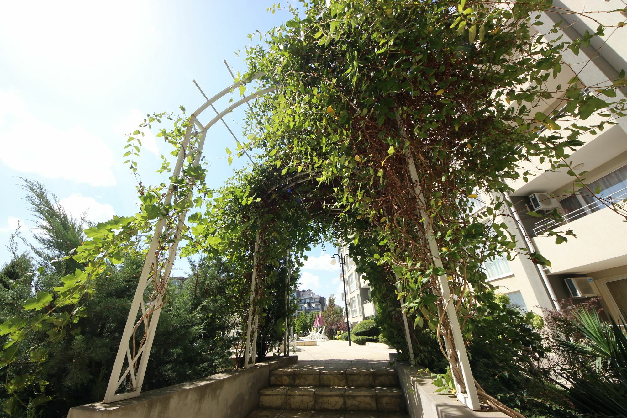 Menada Butterfly Apartment Sveti Vlas Εξωτερικό φωτογραφία